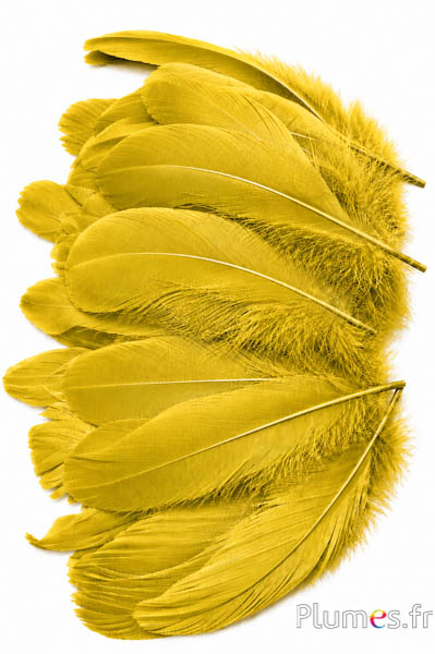 Gans - 11-15 cm - geel-olijf  